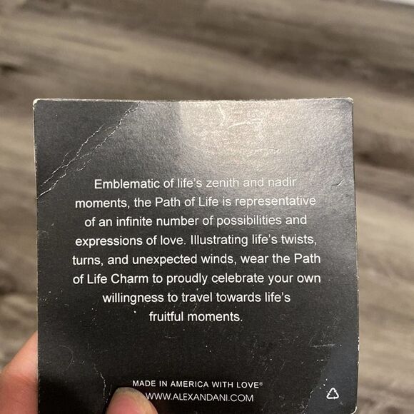 NWOT Women’s Alex and Ani Path Of Life 2014 Rafaelian Silver Bangle - Picture 5 of 8